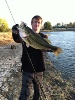 bass 1