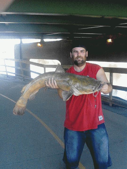 Fishing Photo Gallery - Catfish