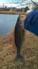 Derby Lake March Bass