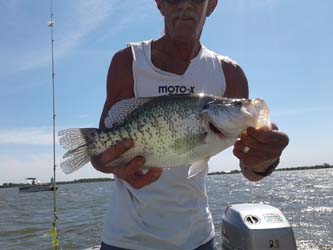 Kansas Fishing Report - Reports from Anglers